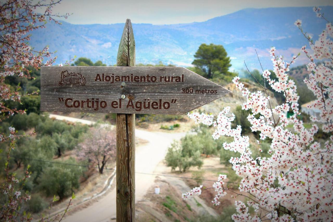 Alojamiento Rural El Agueelo Huelma Kültér fotó